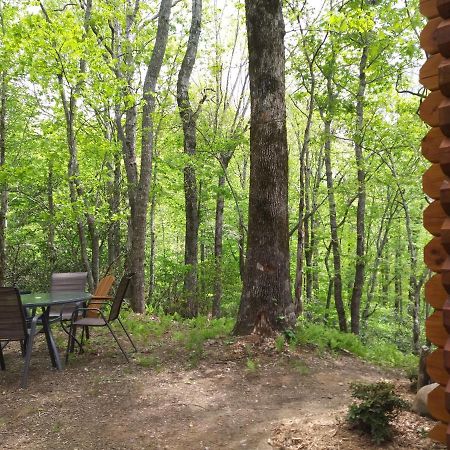 Two Rivers Cabins - The Mountaintop เบรวาร์ด ภายนอก รูปภาพ