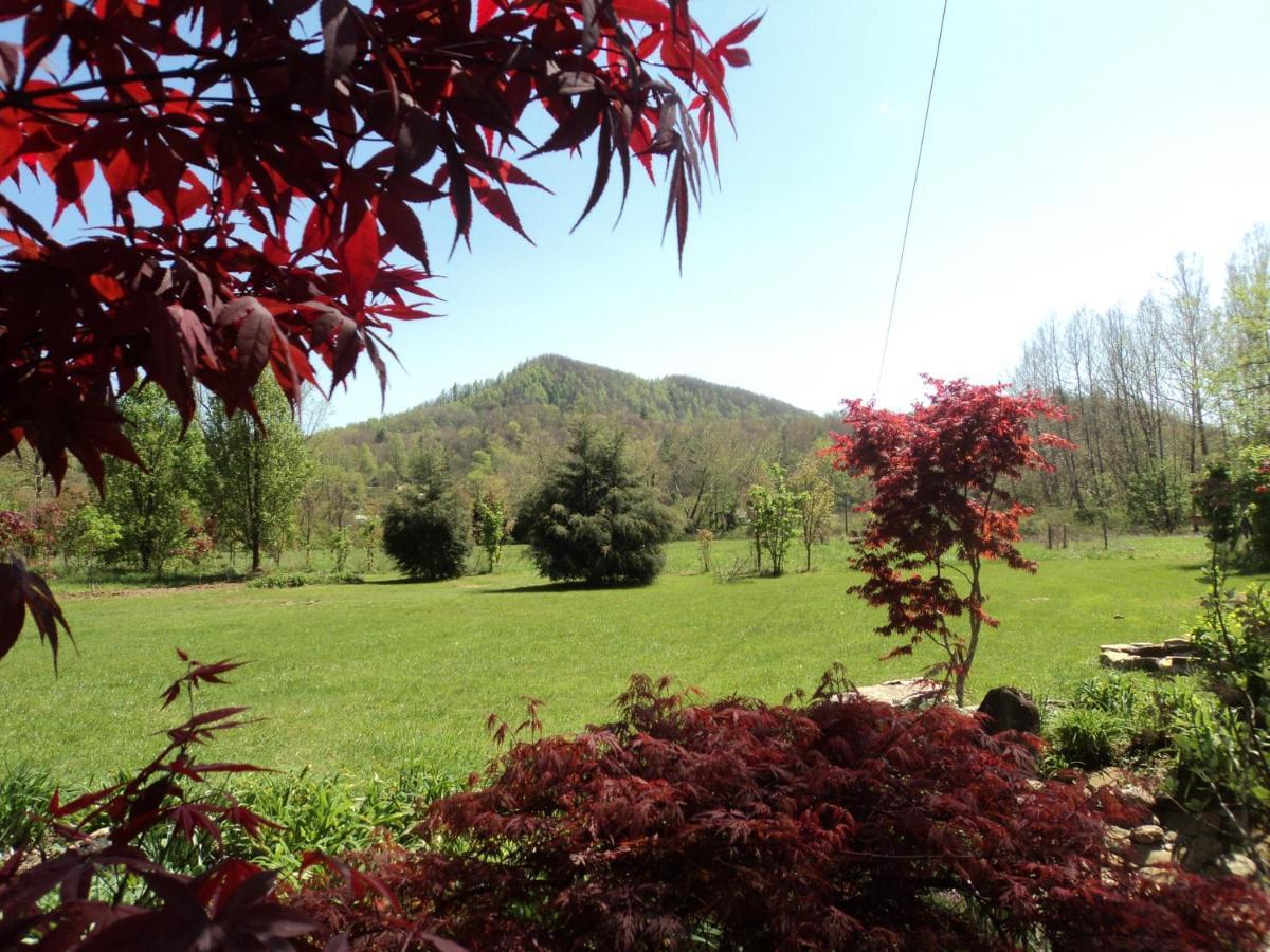 Two Rivers Cabins - The Mountaintop เบรวาร์ด ภายนอก รูปภาพ